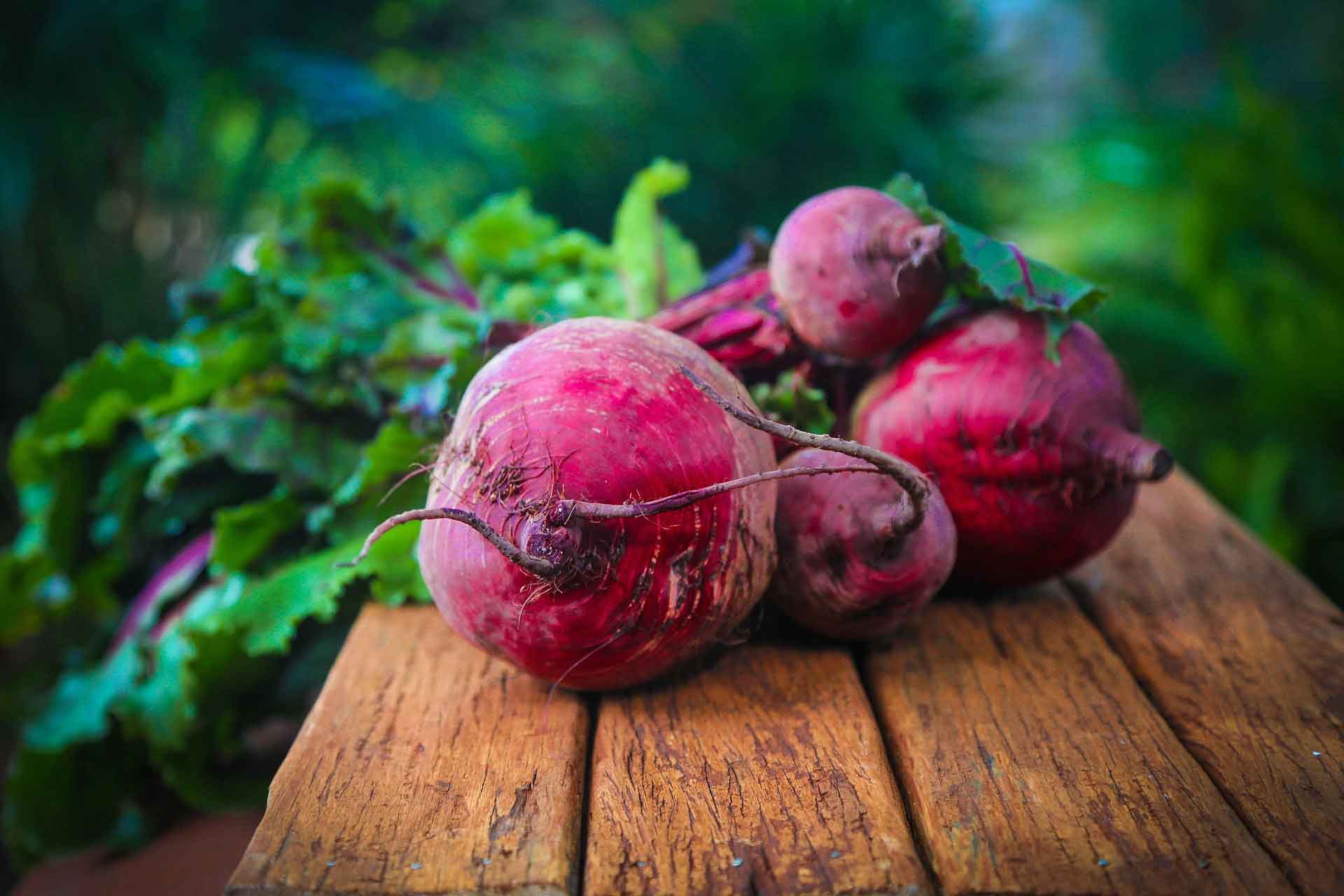 Radieschen in einem Hochbeet